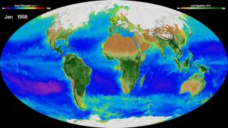 Wunderbare Vegetation: Die Erde im Zeitraffer