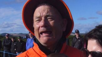 Bill Murray oder Tom Hanks: Dieses Foto spaltet das Web