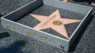 Walk-of-Fame-Stern ummauert: Künstler veräppelt Trump