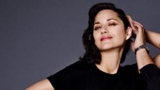 Marion Cotillard: Affäre mit Brad Pitt?